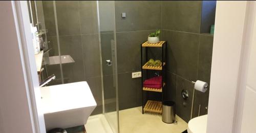 a bathroom with a shower and a toilet and a sink at Apartment mit schöner, moderner Einrichtung in Cologne