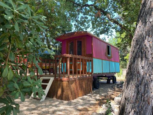 a tiny house sitting on a stump in a tree at Les roulottes de Bayama - logement insolite avec jacuzzi in Mougins