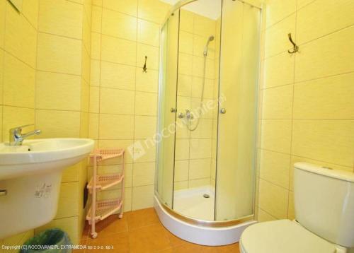 a bathroom with a shower and a toilet and a sink at Jasionka 2 in Ustrzyki Dolne