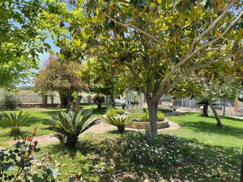 a park with trees and plants in the grass at Mama’s Sunshine Garden Villa in Áyios Ilías