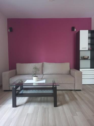 a living room with a couch and a table at Apartament ZOSIA in Korczyna