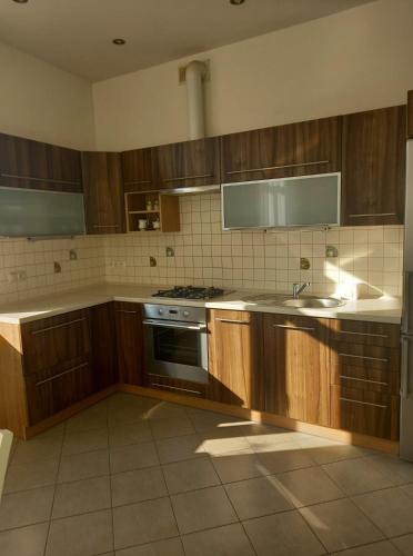cocina con armarios de madera, fregadero y fogones en Apartament ZOSIA, en Korczyna