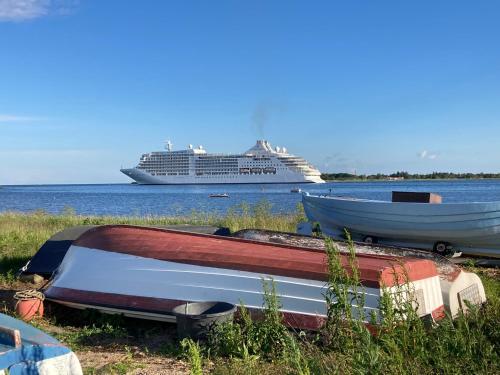 a cruise ship in the water with boats on the shore at Det blågrønne Hus in Hals