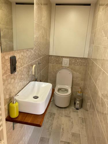 a bathroom with a sink and a toilet at Chatka - B - Vyhlídka nad řekou in Zdiby