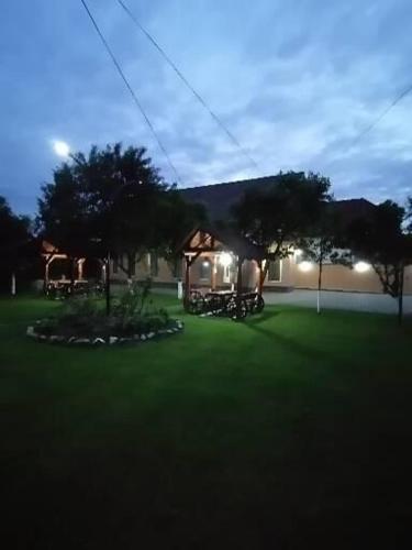 a house with a large yard with green grass at PENSIUNEA KELEMEN in Praid