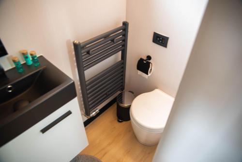 a small bathroom with a toilet and a sink at Maasbootje in Kinrooi