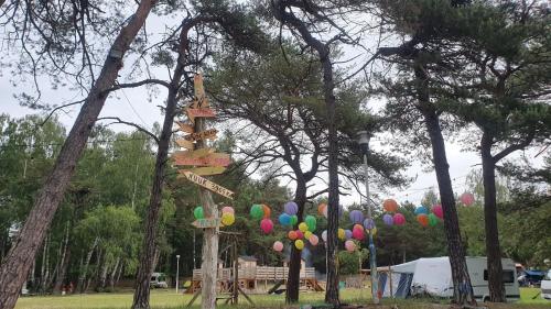 Κήπος έξω από το Paradise Camp