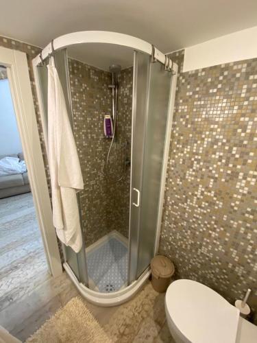 a bathroom with a shower with a toilet and a sink at La Casetta in Altamura