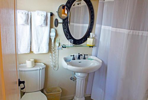 bagno con lavandino, specchio e servizi igienici di Silverton Inn & Suites a Silverton