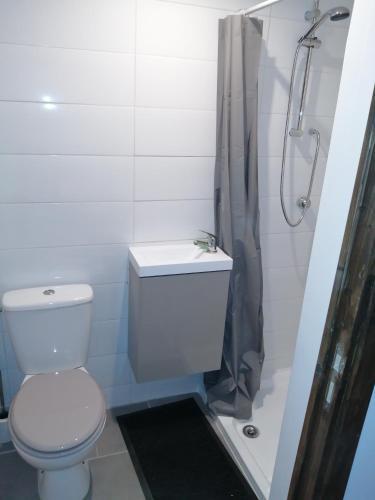 une salle de bain blanche avec toilettes et douche dans l'établissement Gatekeepers Cottage Tiny House, Taizé, Deux-Sevres, Velo Francette, à Taizé