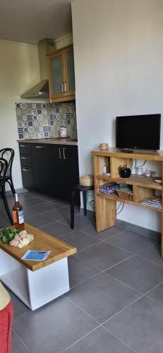 un salon avec une table et une cuisine dans l'établissement La Caravelle entre Plage et Centre Ville, au Grau-du-Roi