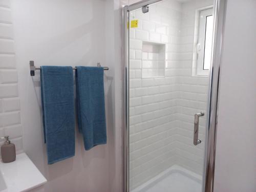 La salle de bains est pourvue d'une douche vitrée et de serviettes bleues. dans l'établissement white pearl apartment central confy spacious, à Lagos