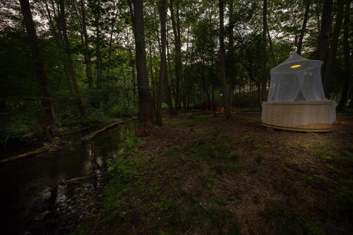 a tent in the middle of a forest at Urzeka in Drzewce