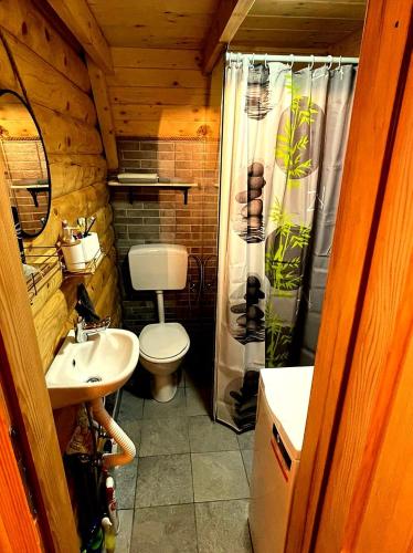 a bathroom with a toilet and a shower curtain at Rajska suma in Žabljak
