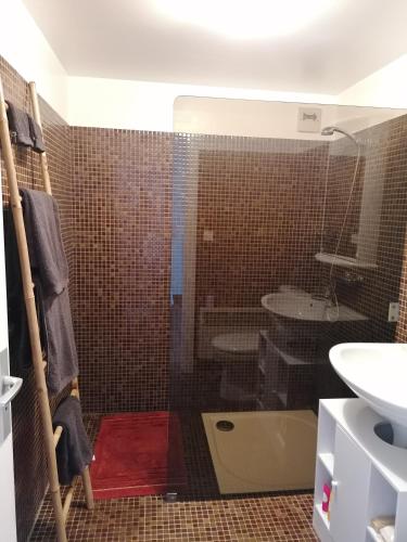 une salle de bain avec douche et lavabo dans l'établissement Au chant des oiseaux, à Hennecourt