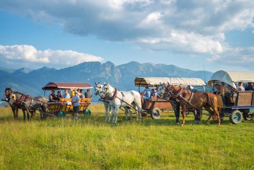 een groep mensen die met paard en wagen rijden bij Willa u Perełki in Zakopane