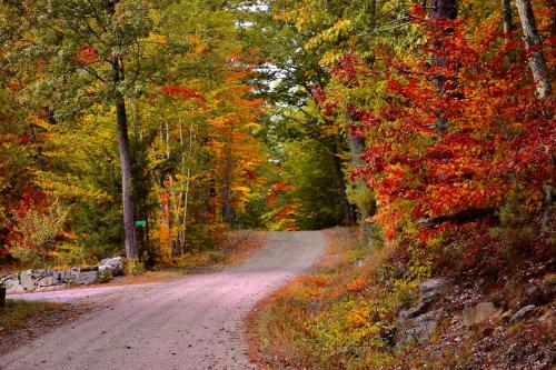 a dirt road in the woods with autumn leaves at Waterfront Escape with Kayak, Paddle Boards, and Sauna in Casco