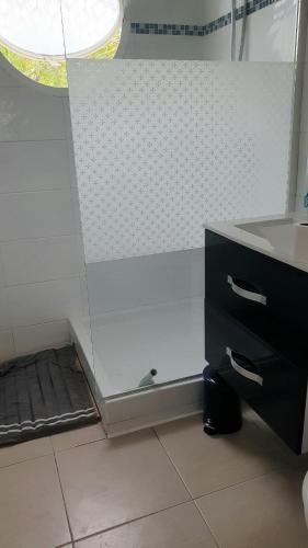 a bathroom with a shower and a sink at Ti'Krystal in Le Diamant