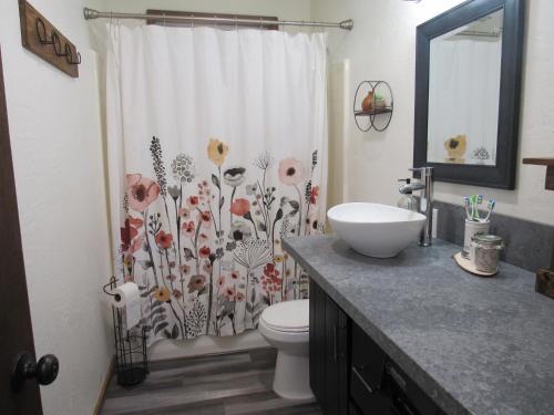 een badkamer met een douchegordijn, een toilet en een wastafel bij Lazy Pines in Sugarloaf