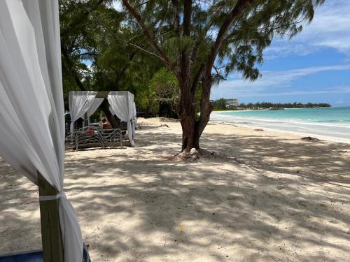 a tent on a beach with a tree and the ocean at Luxury Studio Rooftop Pool n View unit #4 in Falmouth