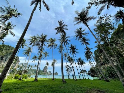 a group of palm trees on the beach at Tinidee Hideaway Tonsai Beach Krabi - SHA Extra Plus in Tonsai Beach