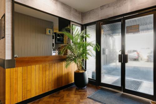 a potted plant sitting in the lobby of a restaurant at Boomerang Hotel in Mackay