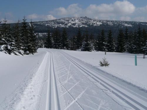 a snow covered road with trees and a mountain at penzion Valentino in Bedřichov