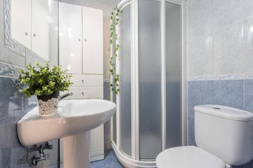 La salle de bains est pourvue de toilettes, d'un lavabo et d'une douche. dans l'établissement Brisas Estadio Playa Victoria, à Cadix