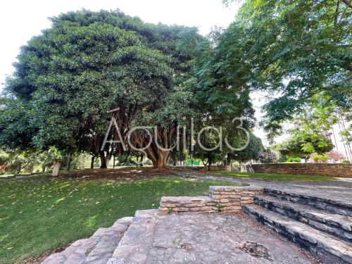 Estudio Aguila3 photo 21