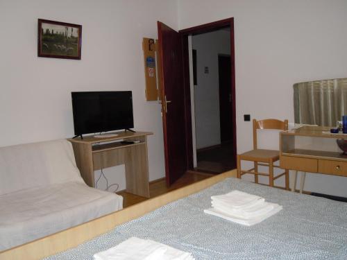 a living room with a couch and a television at Apartmani Sobe BILJANA in Arandjelovac