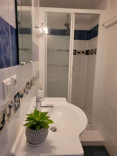 La salle de bains est pourvue d'un lavabo, d'une douche et d'une plante en pot. dans l'établissement BOULOURIS, Grand Studio 2 à 4 personnes à 5min à pied des plages, à Saint-Raphaël