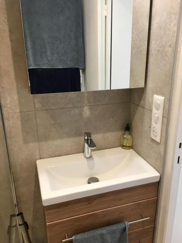 une salle de bain avec un lavabo et un miroir dans l'établissement Bel appartement vue mer centre-ville, face plage, à Dieppe