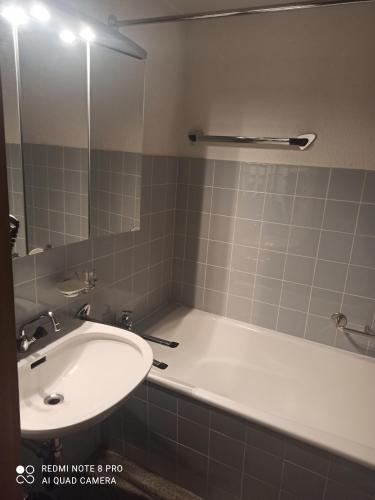 Haus Zerfreila tesisinde bir banyo