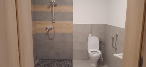 a bathroom with a white toilet and a shower at Noclegi nad Biebrzą Stara Szkoła in Wroceń
