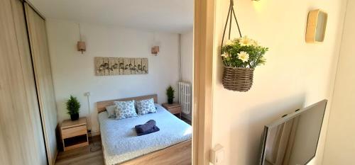 Photo de la galerie de l'établissement Le Cosy - Appartement 1 chambre - 4pers - Wifi - Parking bail mobilité, à Montpellier