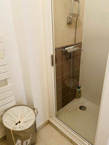 La petite salle de bains est pourvue d'une douche et de toilettes. dans l'établissement Perle Rare , sur La Rochelle Appartement avec parking, à La Rochelle