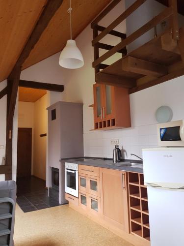 cocina con armarios de madera y encimera en Apartments Cederika en Věžovatá Pláně