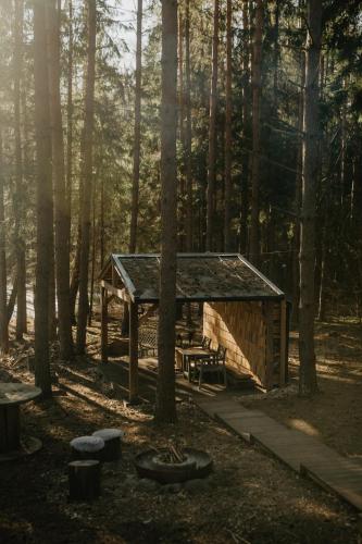 a log cabin in the woods with the sun shining through the trees at Private cosy forest cabin in Inturkė