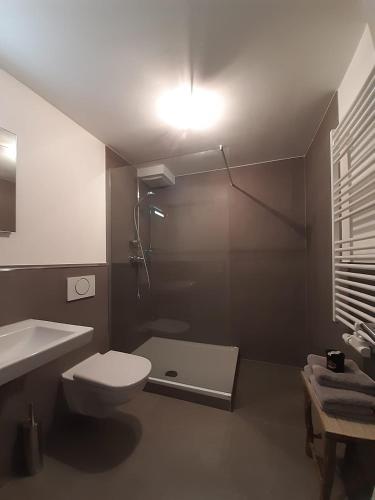 a bathroom with a shower and a toilet and a sink at Stilvolles Studio im Allgäu in Rettenbach am Auerberg