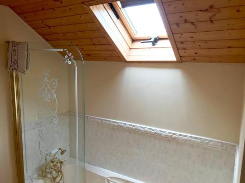 a bathroom with a shower and a skylight at Dan Rua's Cottage in Cavan