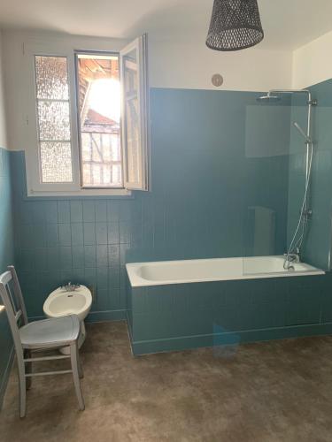 a bathroom with a tub and a chair and a sink at Gite les Zozios du lac du Der in Hauteville