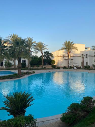 Sunterra 2 bedroom apartment