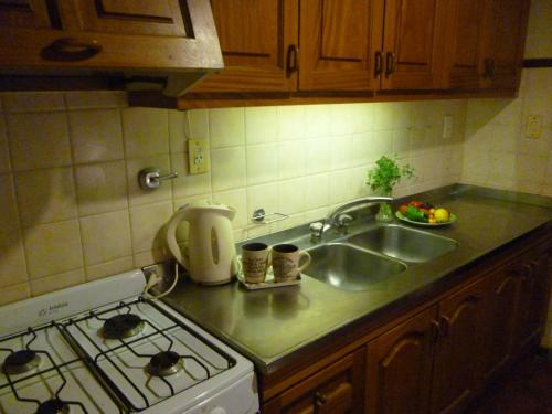 a kitchen counter with a sink and a stove at Casa en el Challao in Mendoza