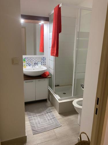 a bathroom with a sink and a toilet at Studio cosy - Sainte-Clotilde in Saint-Denis