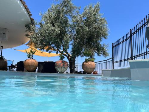 uma piscina com três vasos grandes ao lado de uma cerca em Egò Marine em Mandatoriccio Marina