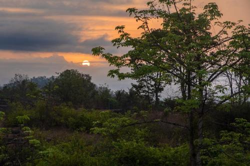 a sunset over a field with a tree at SaffronStays Midori, Kolad - private pool villa near river rafting camp in Kolād