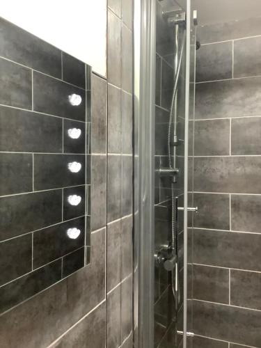 a bathroom with a shower with black tiles at Estuary View - Cosy Shepherds Hut in Kingsbridge