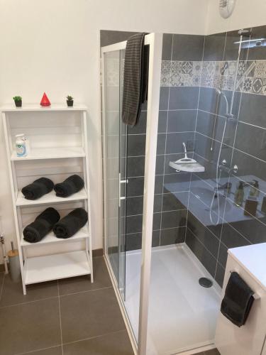 La salle de bains est pourvue d'une douche et d'un lavabo. dans l'établissement Studio Cosy Chambray-Les-Tours, à Chambray-lès-Tours