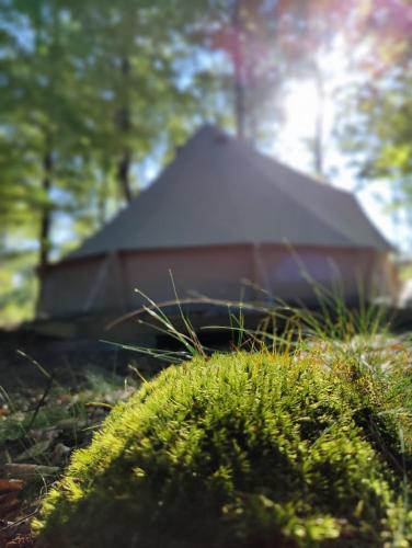 a blurry picture of a red barn in the woods at Naturglamping in Kristianstad