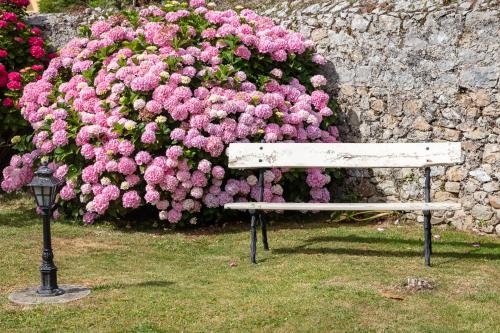 un banco frente a un arbusto de flores rosas en Hotel La Casona de Nueva, en Nueva de Llanes